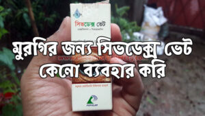 Civodex vet - সিভডেক্স ভেট