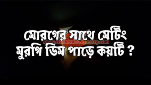 মোরগের সাথে মেটিং করে মুরগি কয়টা ডিম পাড়ে