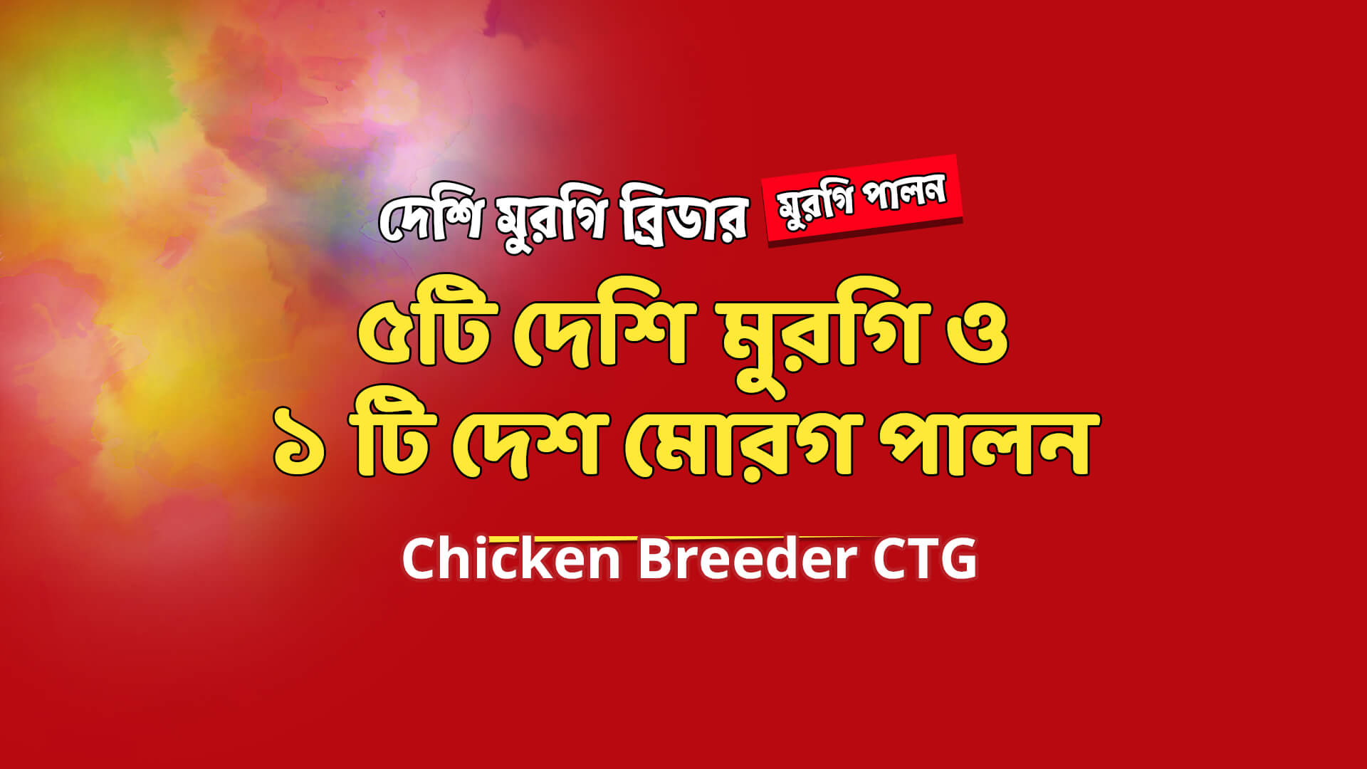 ৫ টি দেশি মুরগি ও ১ টি দেশি মোরগ পালন- Raising 5 native chickens and 1 native rooster