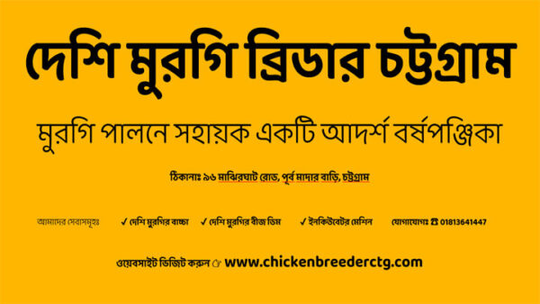 Chicken Farming Calendar - মুরগি পালন ক্যালেন্ডার